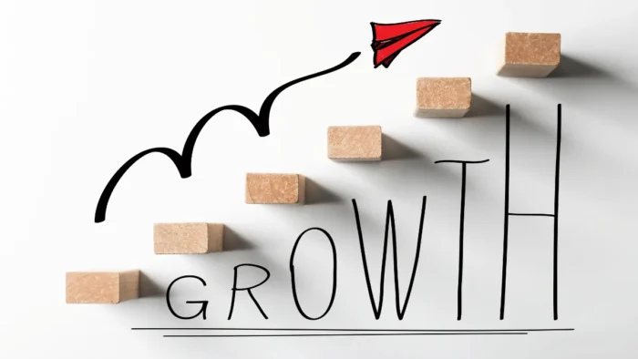 5 Effective Ways to Grow Your Business