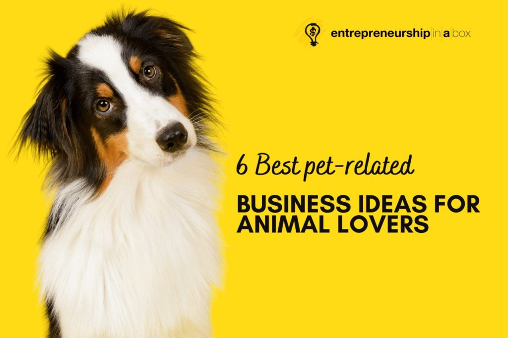 6 Best Pet-Related Business Ideas for Animal Lovers