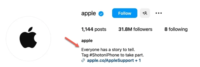 Apple Instagram bio and profile