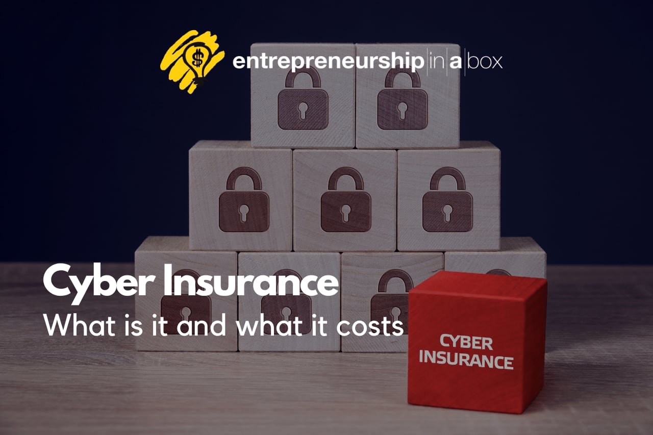 Cyber Insurance – What is it and What it Costs