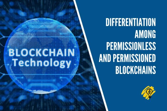 Differentiation Among Permissionless and Permissioned Blockchains