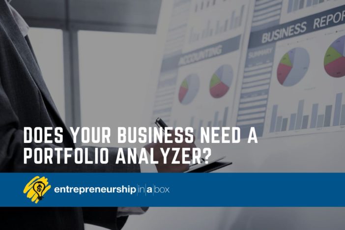Does Your Business Need a Portfolio Analyzer