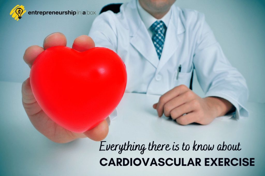 Everything There Is To Know About Cardiovascular Workout