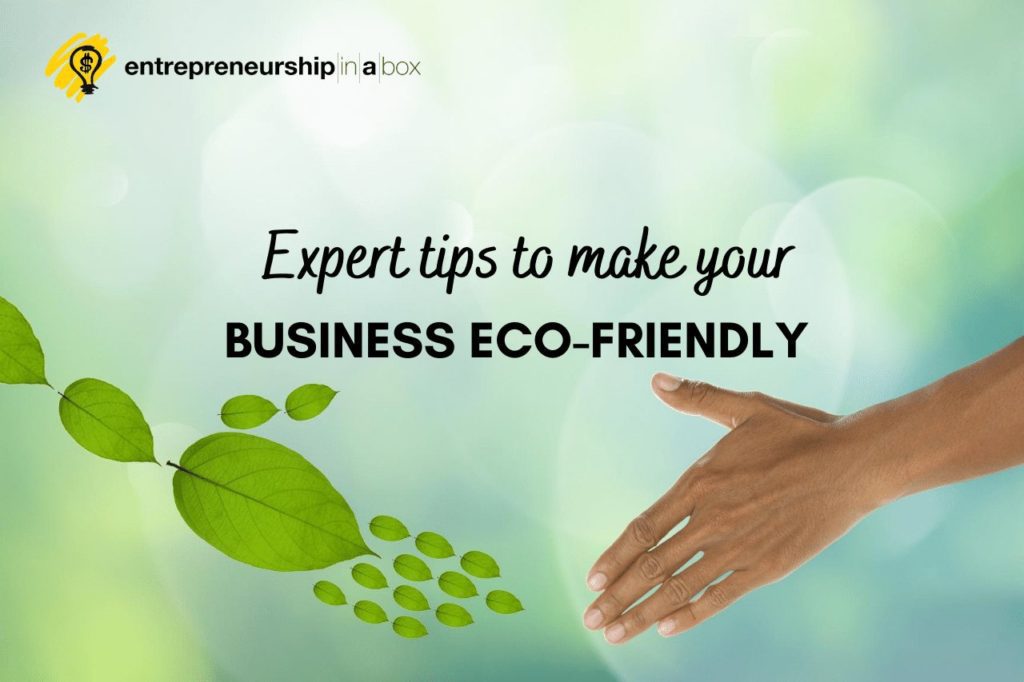 Expert Tips to Make Your Business Eco-Friendly