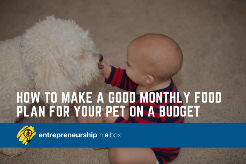 How To Make a Good Monthly Food Plan for Your Pet on A Budget