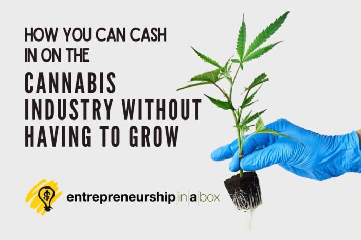 How You Can Cash in on the Cannabis Industry Without Having to Grow