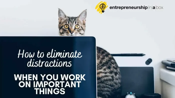 How to Eliminate Distractions When You Work on Important Things