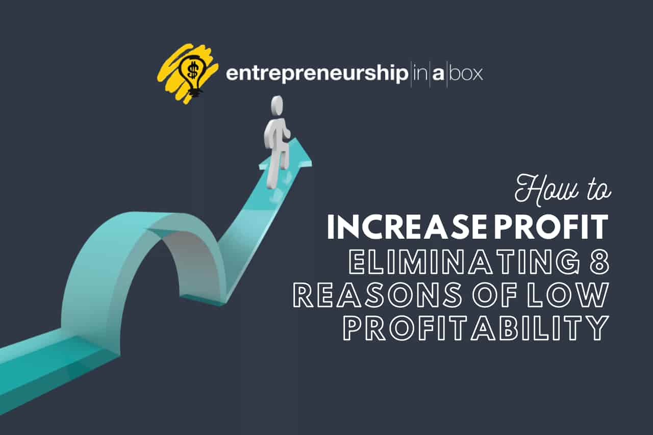 How to Increase Profit Eliminating 8 Reasons of Low Profitability