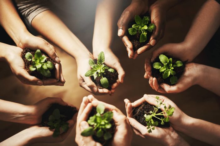 How to Make Your Restaurant More Sustainable