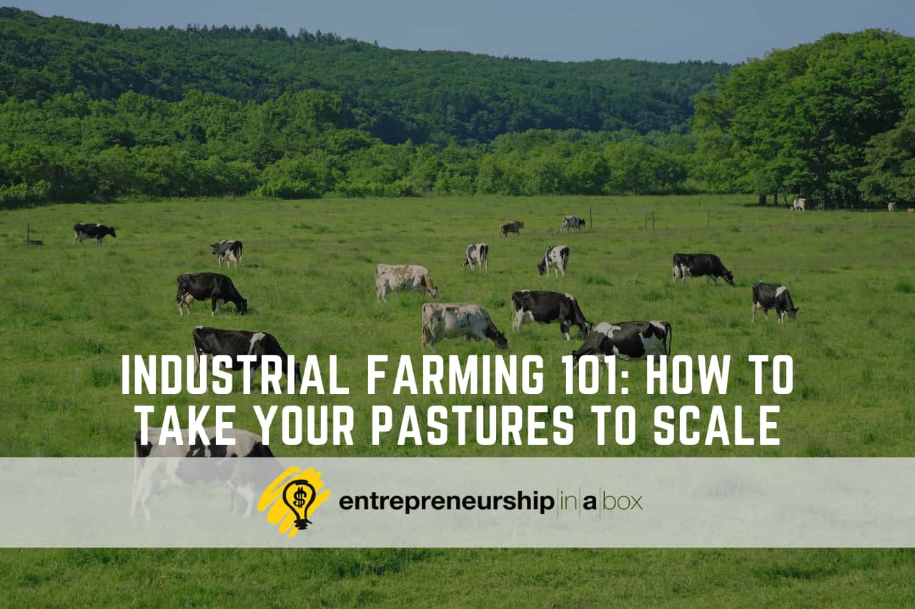 Industrial Farming 101 - How to Take Your Pastures to Scale