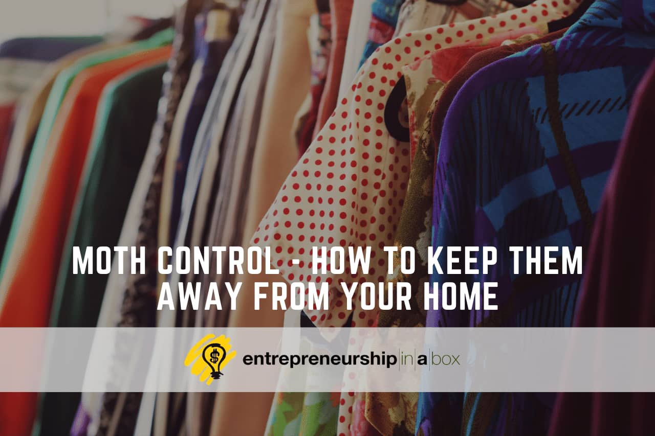 Moth Control How to Keep Them Away from Your Home General