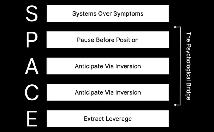SPACE Framework