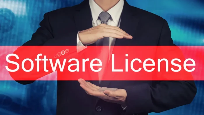 Software Licensing A Guide for Business Owners