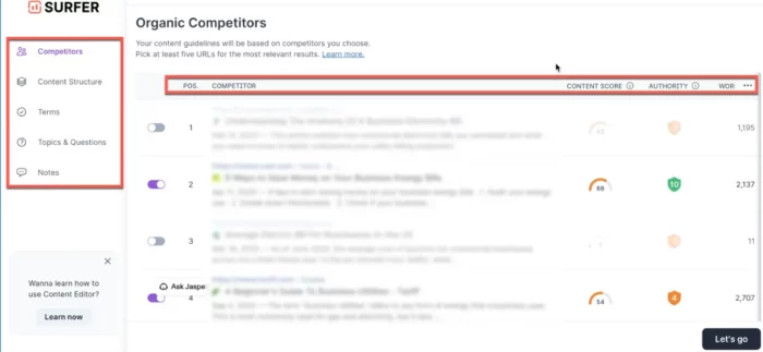 Surfer Content Editor - Competitors