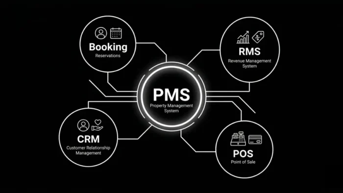 The API Ecosystem (The Digital Brain)