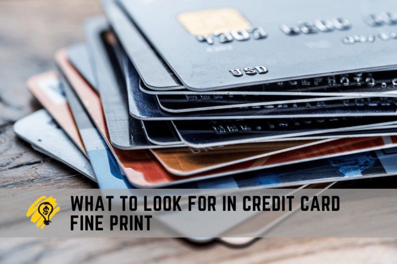 What to Look for in Credit Card Fine Print