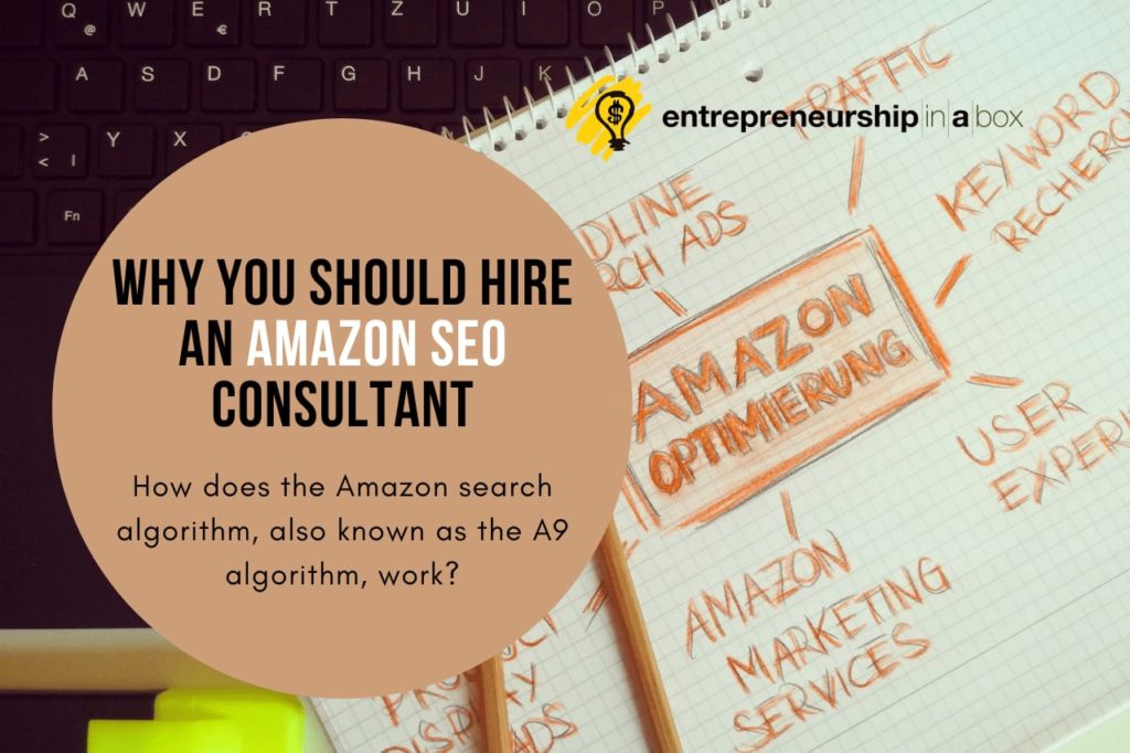 Why You Should Hire an Amazon SEO Consultant