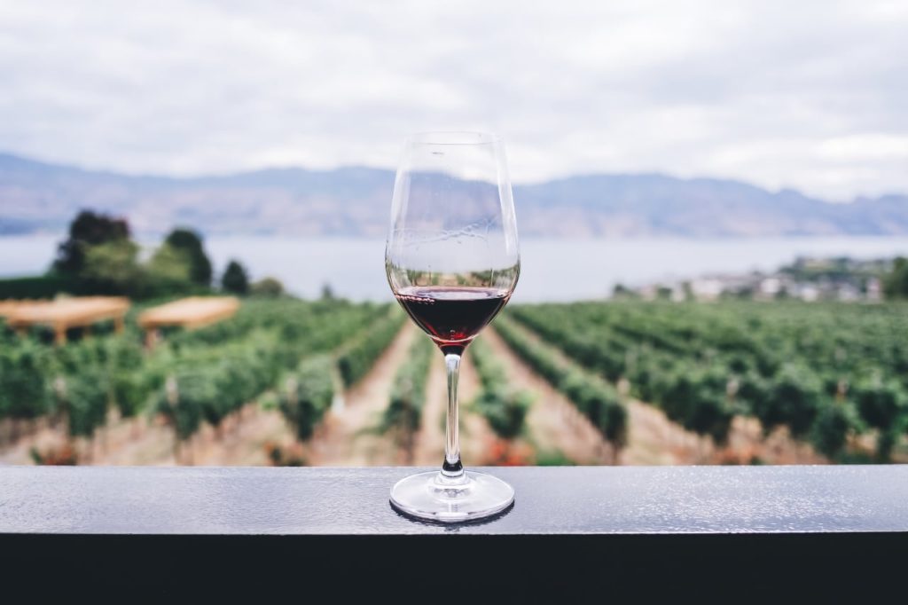Winery Marketing Strategies That Deserve a Toast
