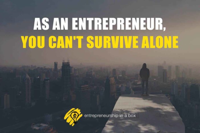 become entrepreneur - survive alone