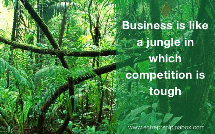 business like jungle