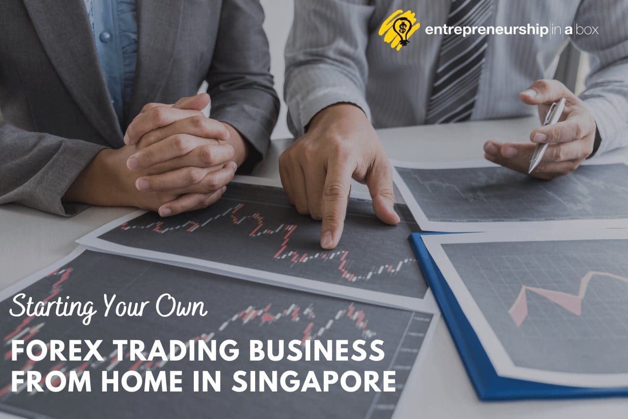 Forex trading education singapore plans ira investing in private equity